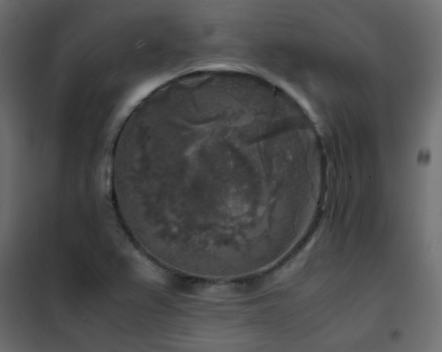 X0000102521367200808081417