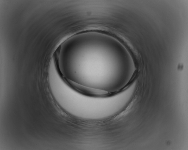 X0000102521369200808081417