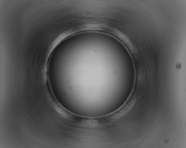 X0000102521370200808081417