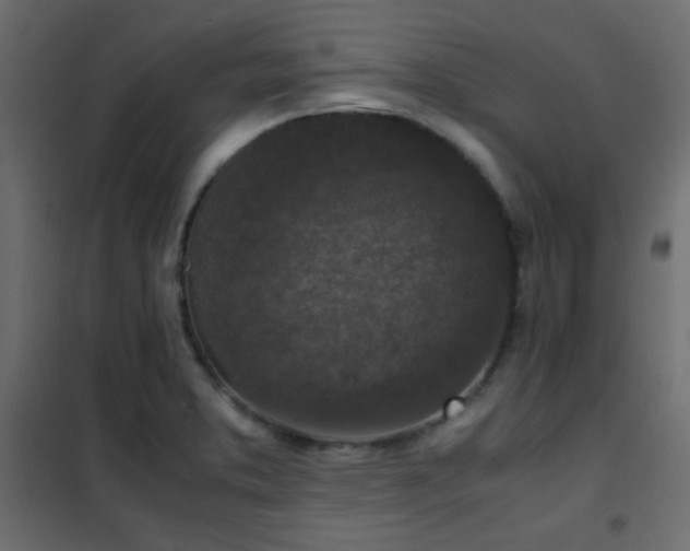 X0000102521373200808081417