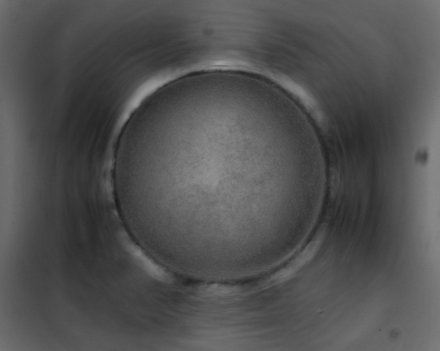 X0000102521374200808081417