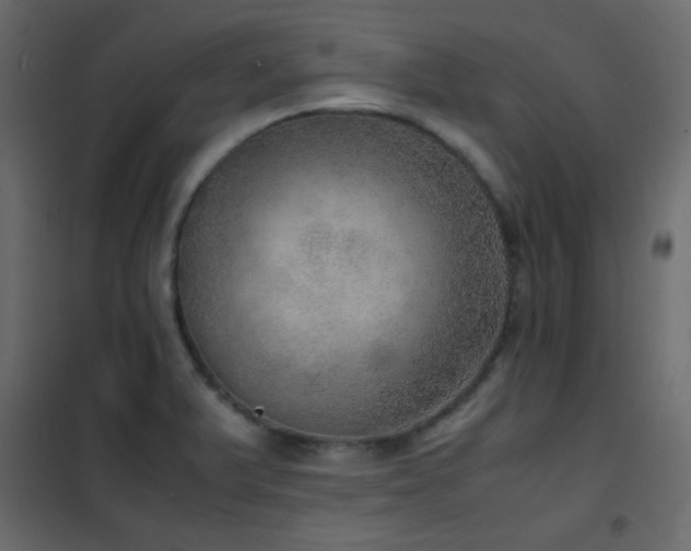 X0000102521375200808081417