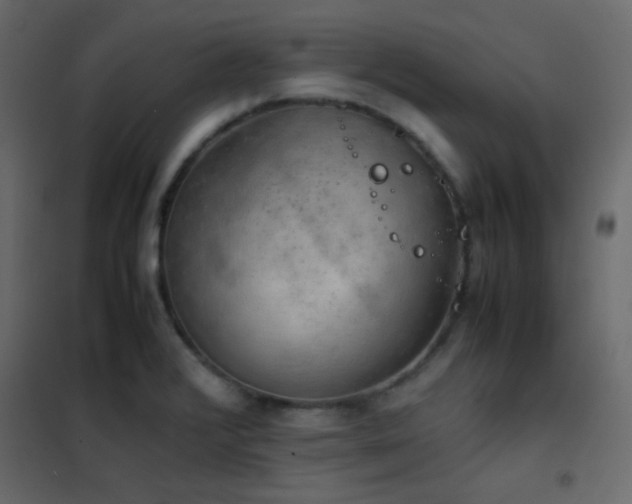 X0000102521376200808081417