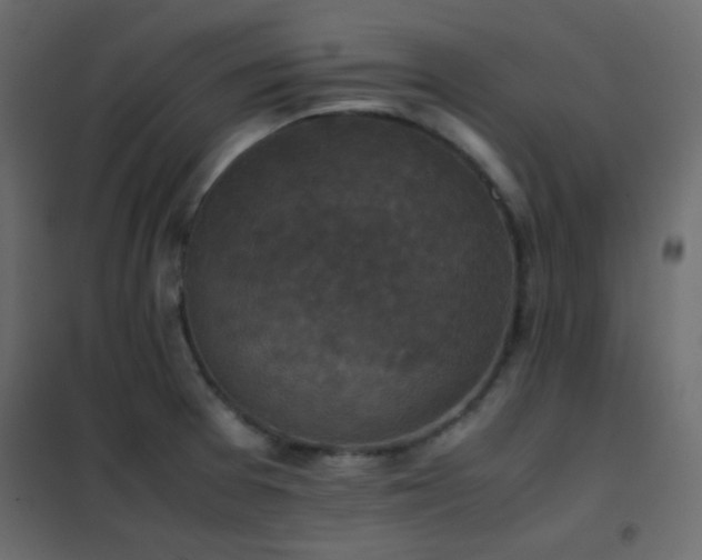 X0000102521377200808081417