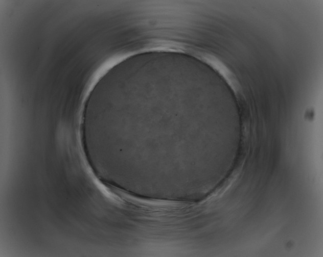 X0000102521379200808081417