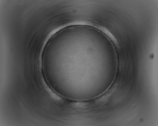 X0000102521380200808081417