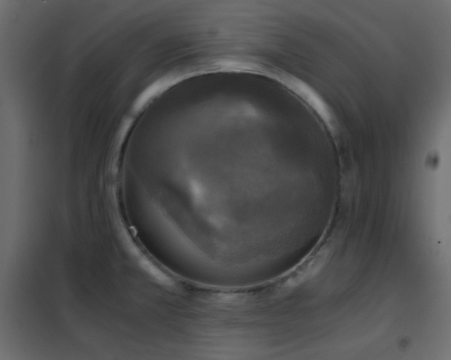 X0000102521381200808081417