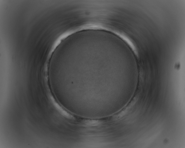 X0000102521382200808081417