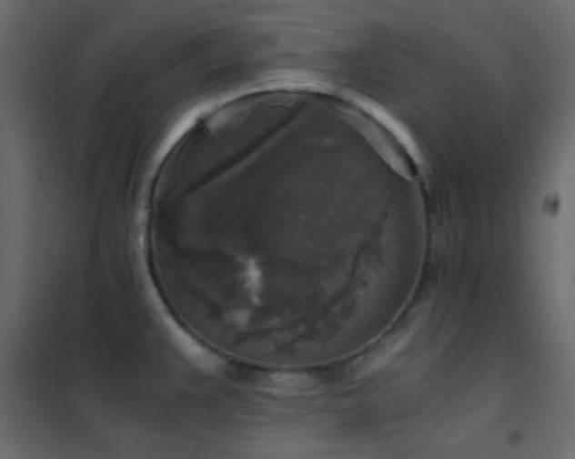 X0000102521383200808081417