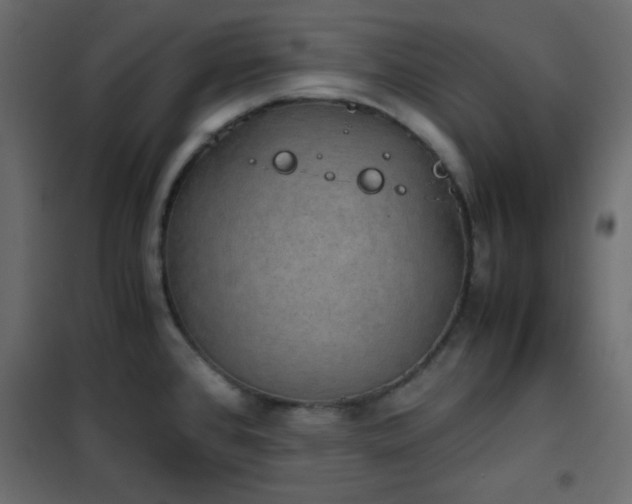 X0000102521384200808081417