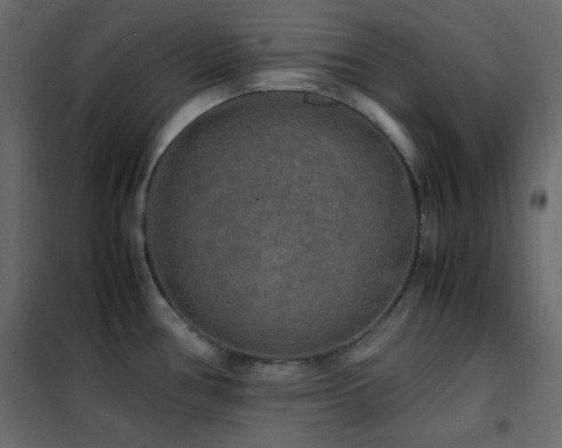 X0000102521386200808081417