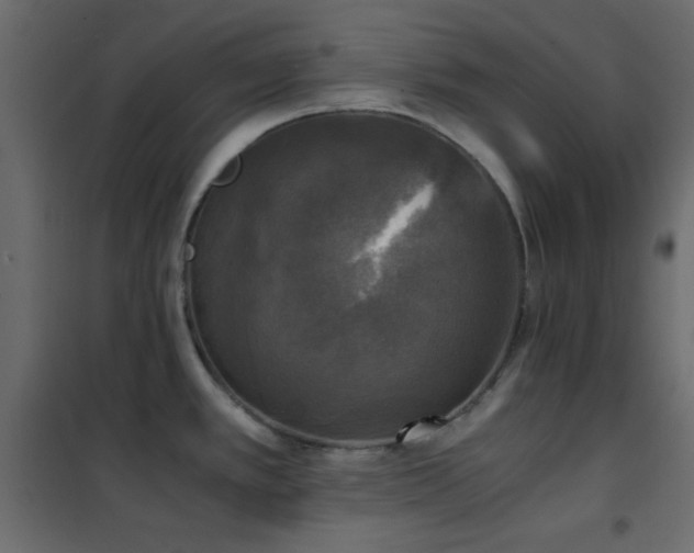 X0000102521389200808081417