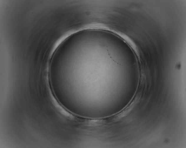 X0000102521390200808081417