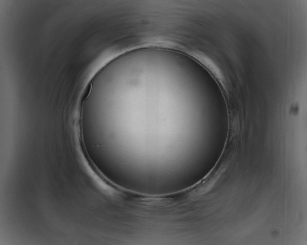 X0000102521391200808081417