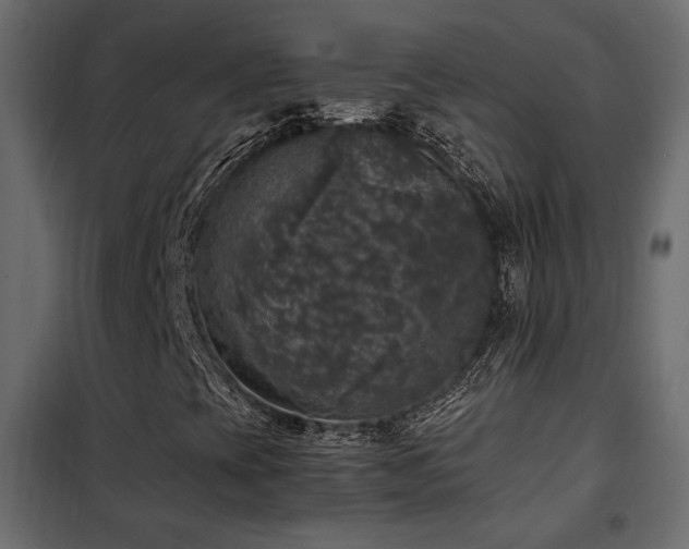 X0000102521393200808081416