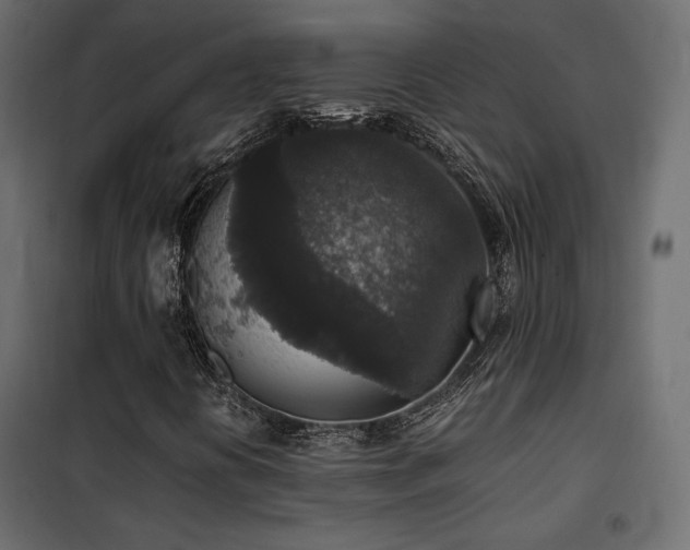 X0000102521394200808081416