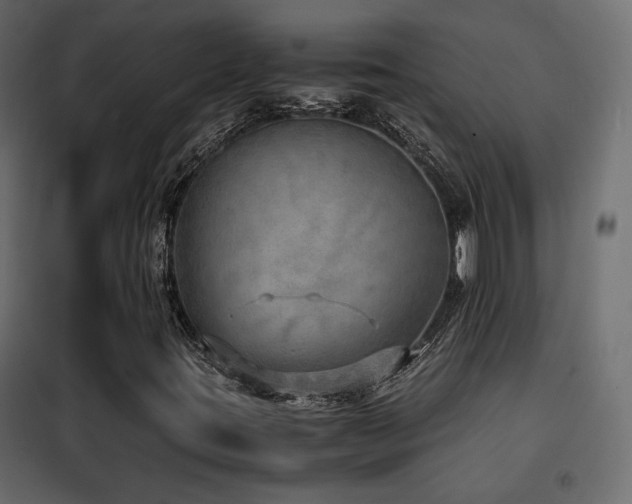 X0000102521395200808081416