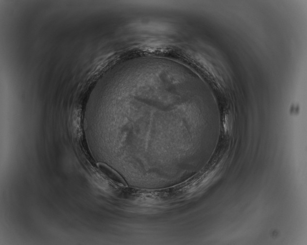 X0000102521396200808081416