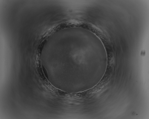 X0000102521397200808081416