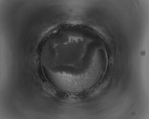 X0000102521398200808081417