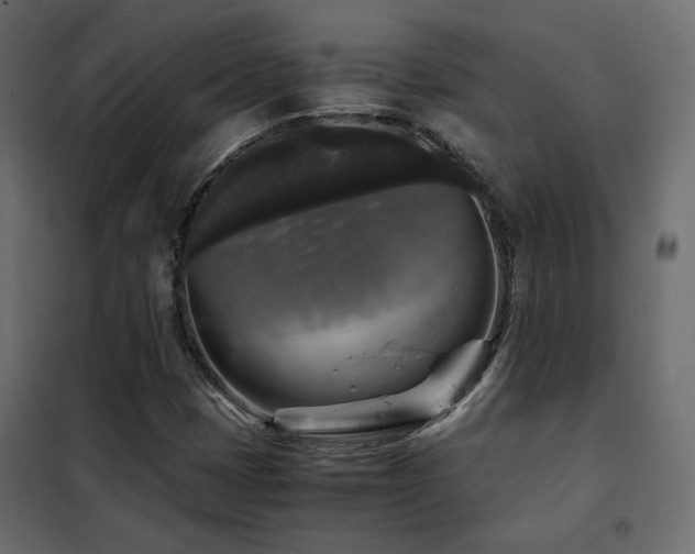 X0000102521401200808081417