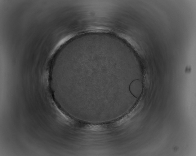 X0000102521402200808081417