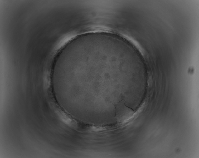 X0000102521407200808081417