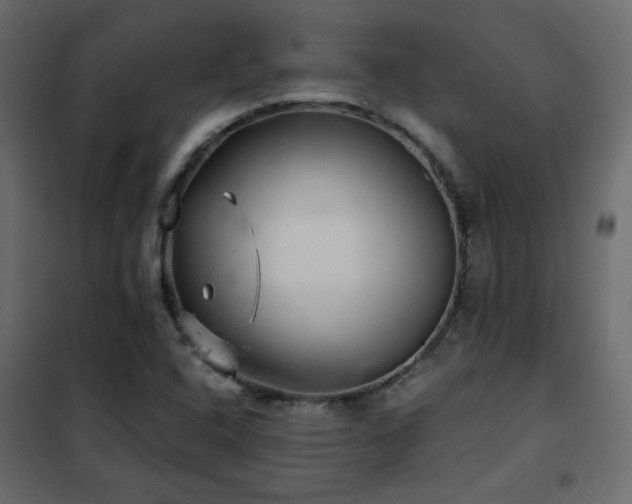 X0000102521408200808081417