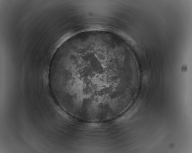 X0000102521409200808081417