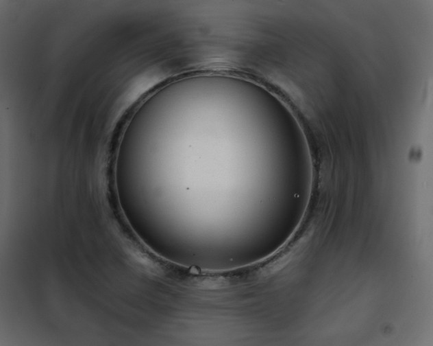 X0000102521410200808081417