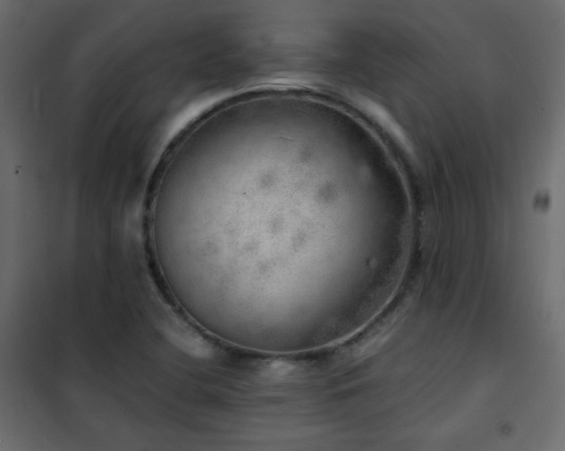 X0000102521412200808081417