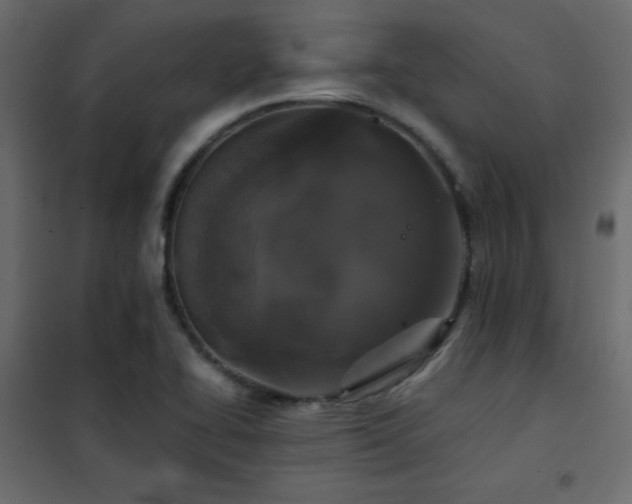 X0000102521414200808081417