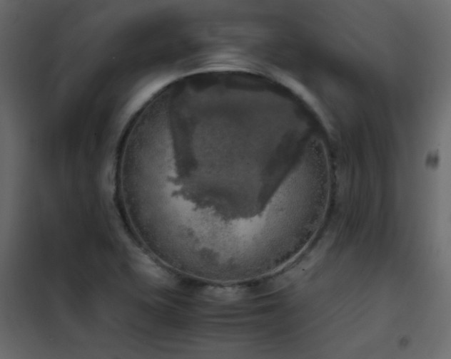 X0000102521415200808081417