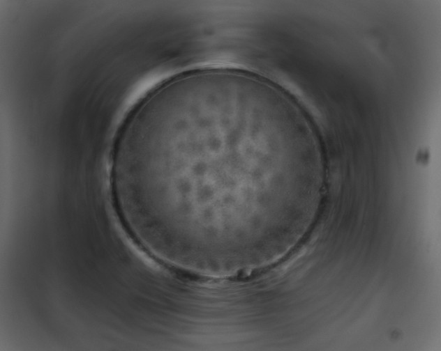 X0000102521416200808081417