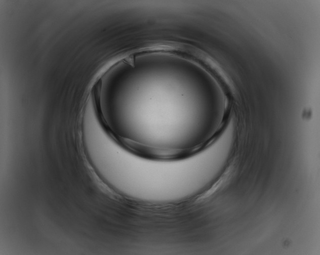 X0000102521417200808081417