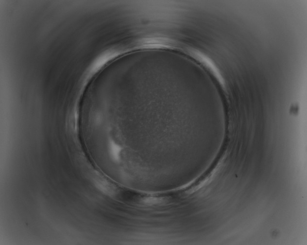 X0000102521419200808081417