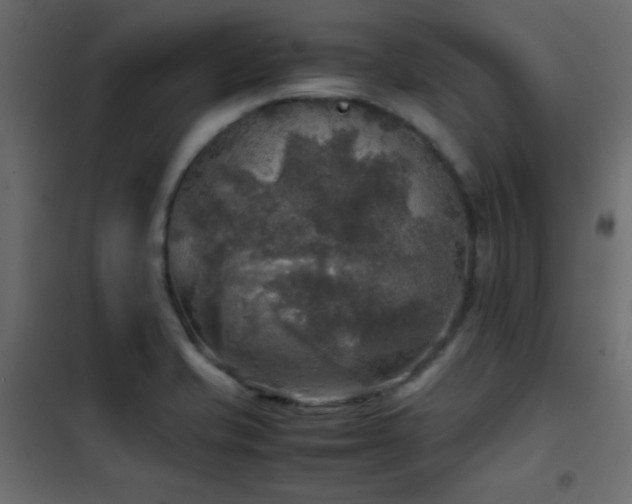 X0000102521421200808081417