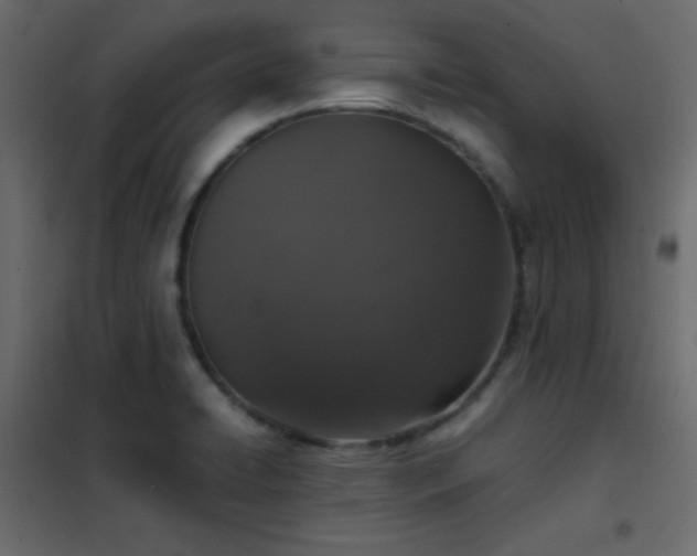 X0000102521422200808081417