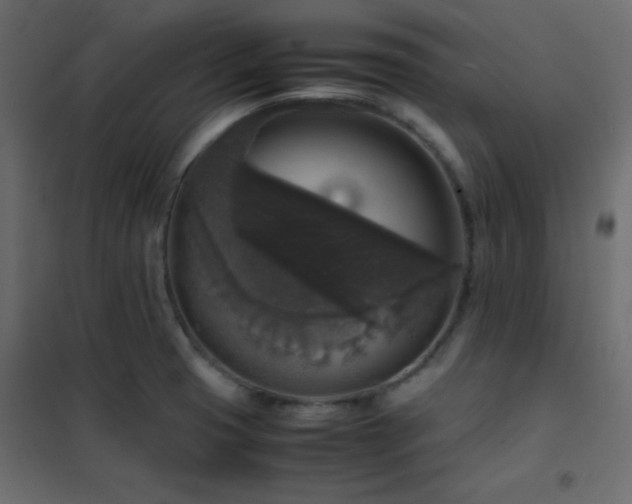 X0000102521425200808081417