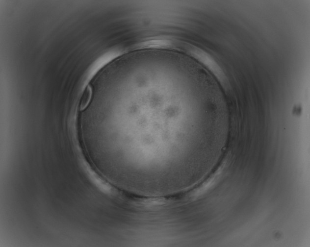 X0000102521426200808081417