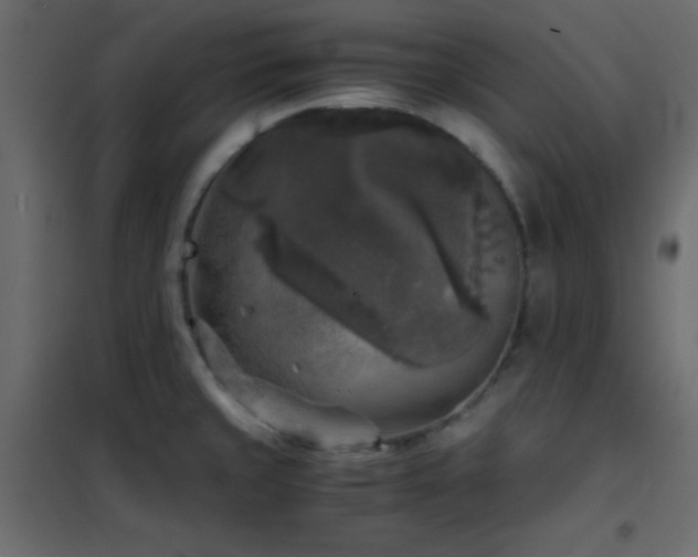 X0000102521429200808081417