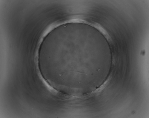 X0000102521430200808081417