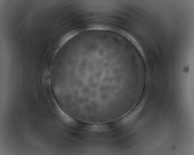 X0000102521433200808081417