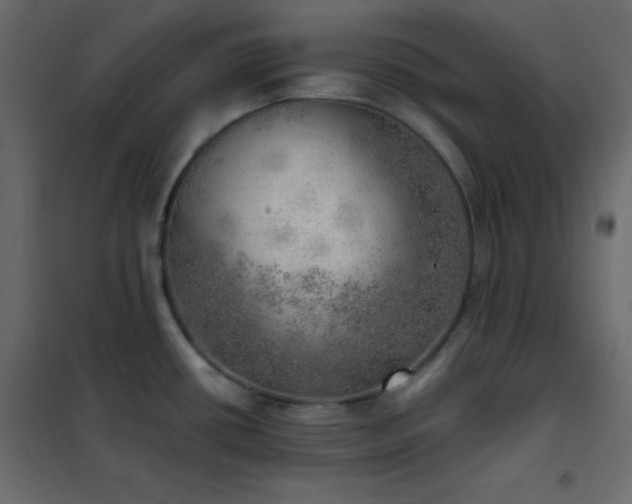 X0000102521434200808081417