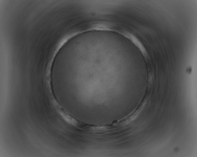 X0000102521435200808081417