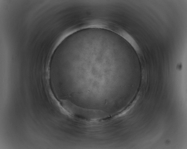 X0000102521436200808081417