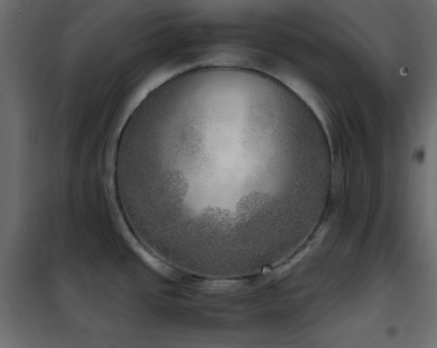 X0000102521437200808081417