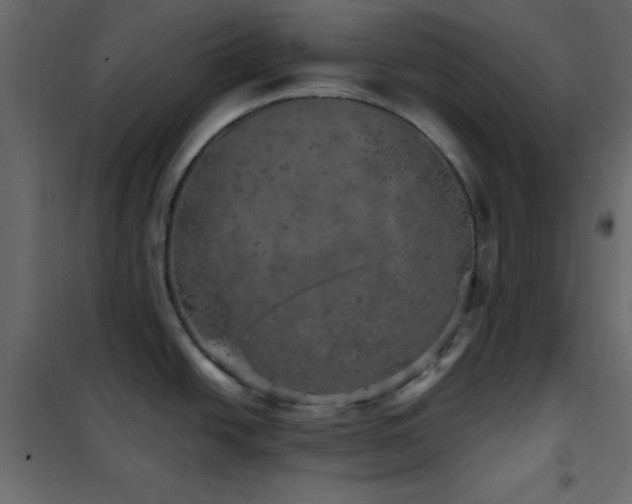 X0000102521438200808081417