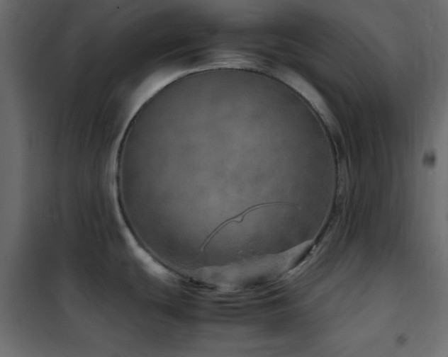 X0000102521439200808081417