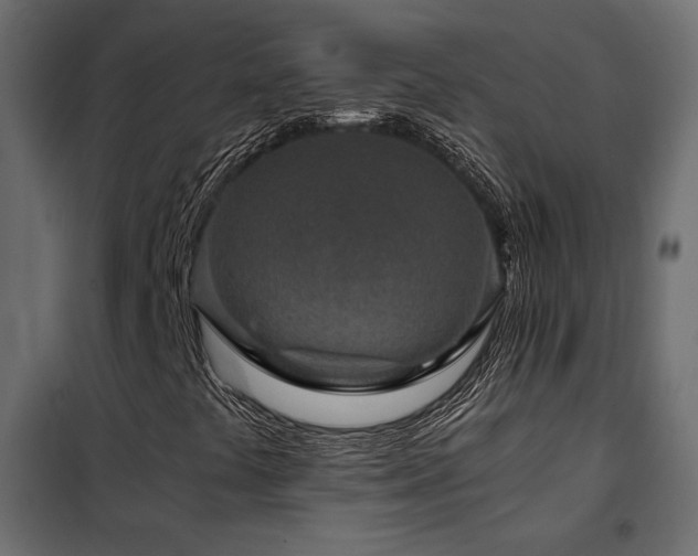 X0000102521441200808081416